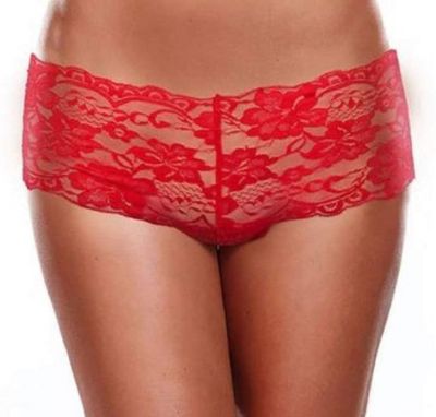 Secrets Floral Lace Boyshort And Love Egg Rechargeable With Remote Control