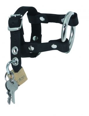 Leather Padlock Special Cock Harness