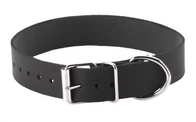 1 inch Plain Collar With Buckle and D-Ring