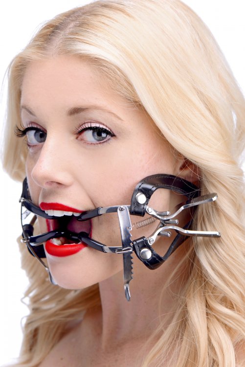 Ratchet+Style+Whitehead+Mouth+Gag+with+Strap