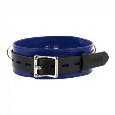 Strict Leather Deluxe Locking Collar - Blue and Black
