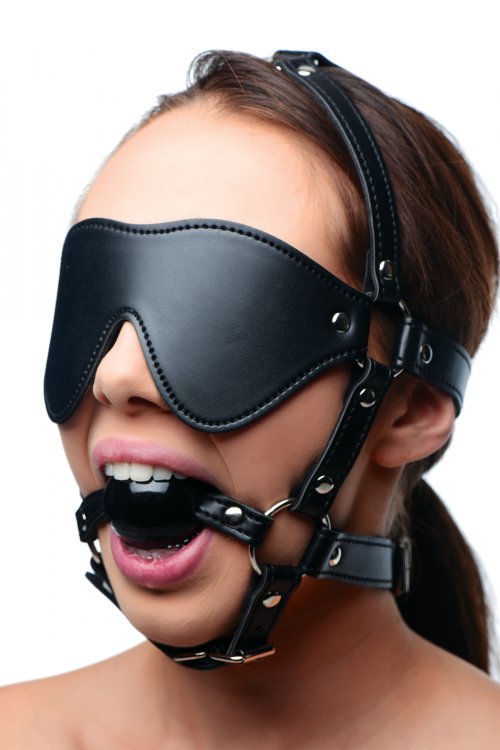 Blindfold+Harness+and+Ball+Gag