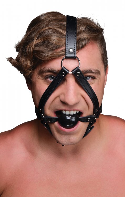 Faux+Leather+Head+Harness+with+Ball+Gag