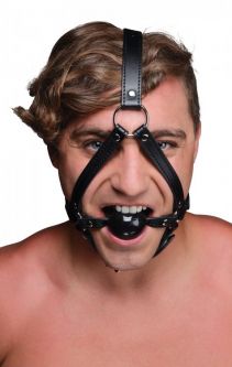 Faux Leather Head Harness with Ball Gag