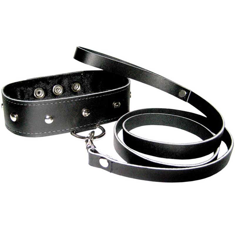 Leather+Leash+and+Collar