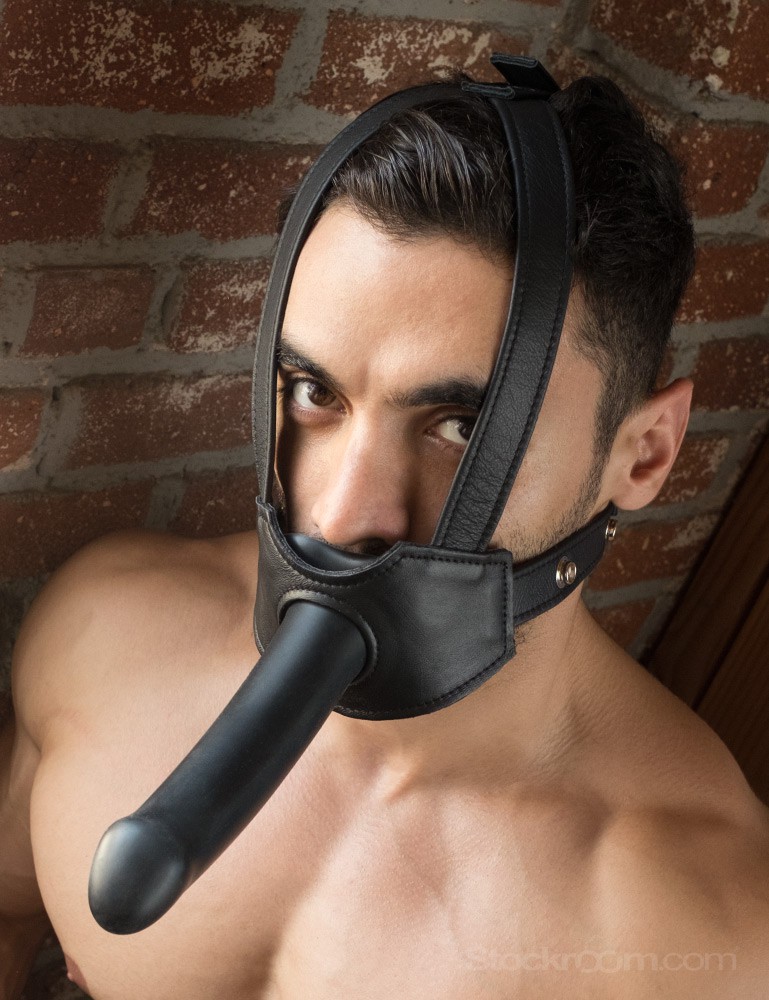 Leather+Head+On+Harness