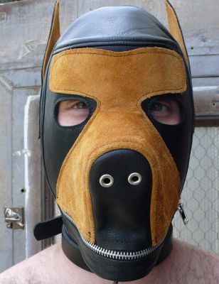 Two-Toned Dog Hood