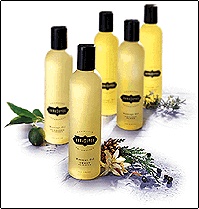 Kama Sutra Aromatic Massage Oils - 8 Oz