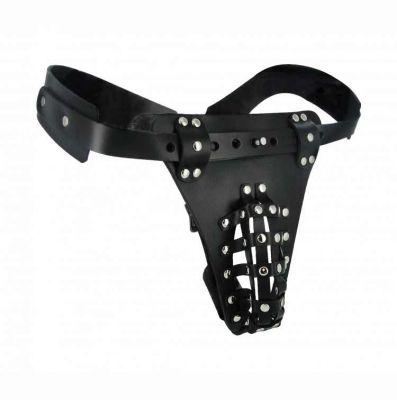 The Safety Net Male Chastity Harness