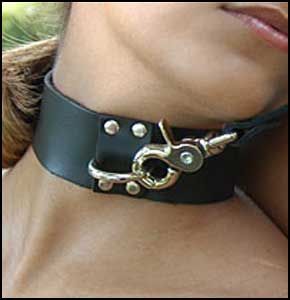 Classic Locking Leather Collar