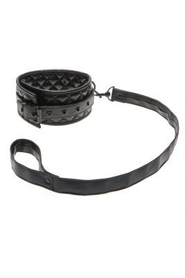 X-Play Collar and Leash