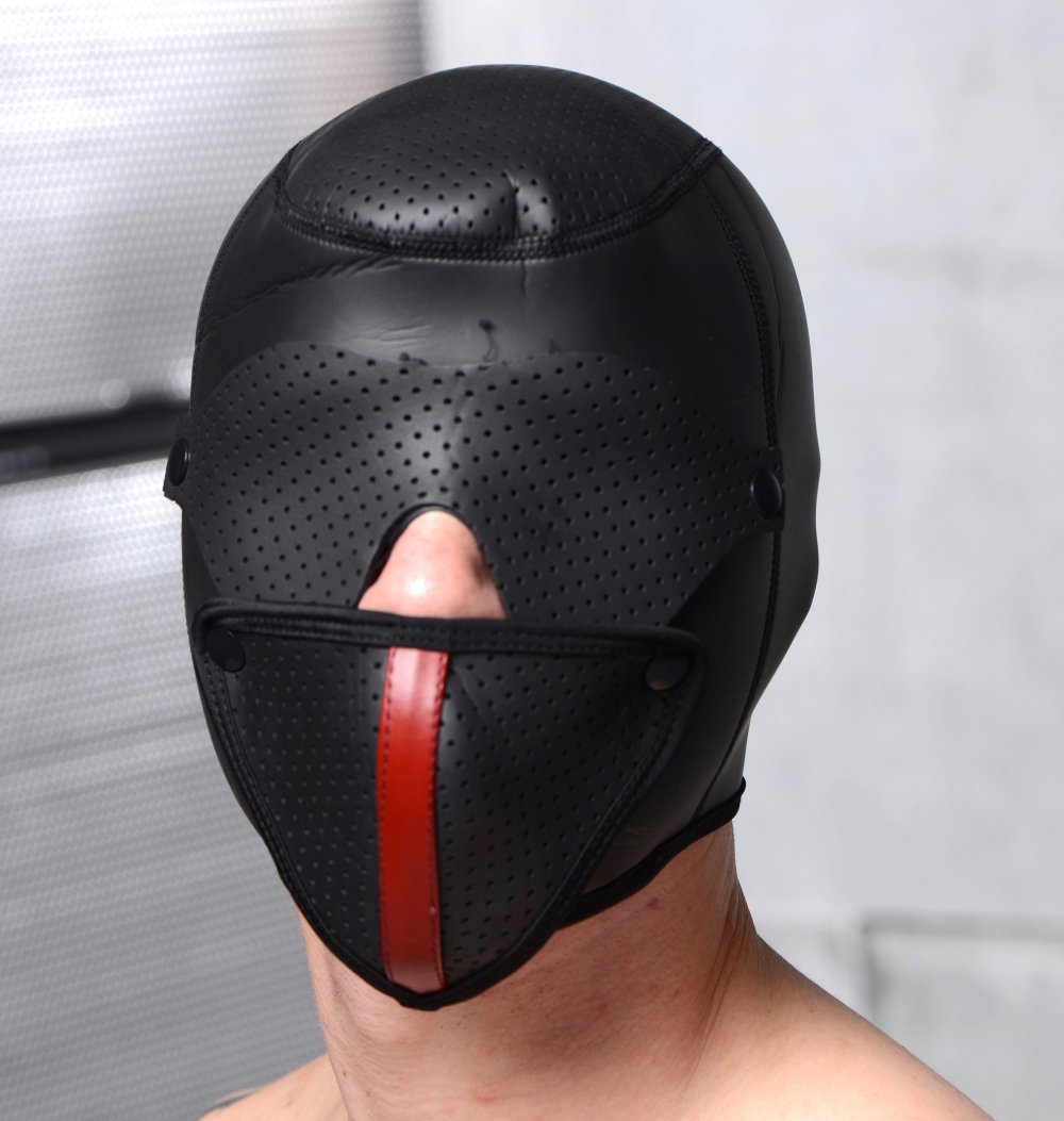 Master+Series+Scorpion+Hood+With+Removable+Blindfold+And+Face+Mask
