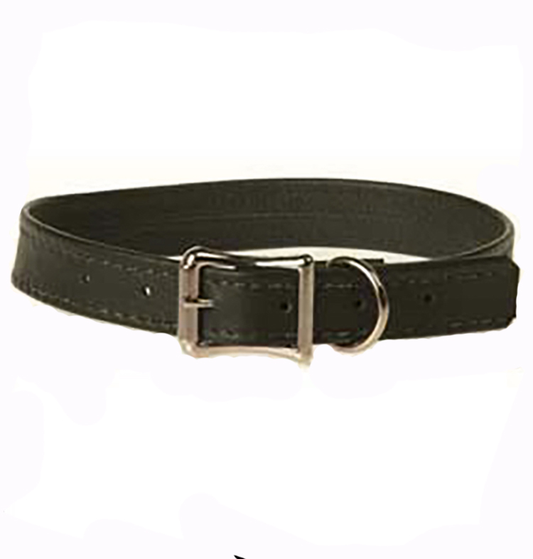 Understated+Collar