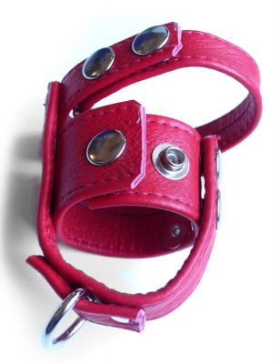 Deluxe Leather Erection Maker