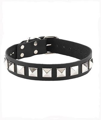 The Pyramid Single Strap Collar