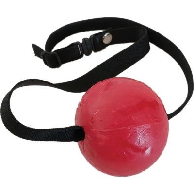 Strawberry Flavored Candy Ball Gag