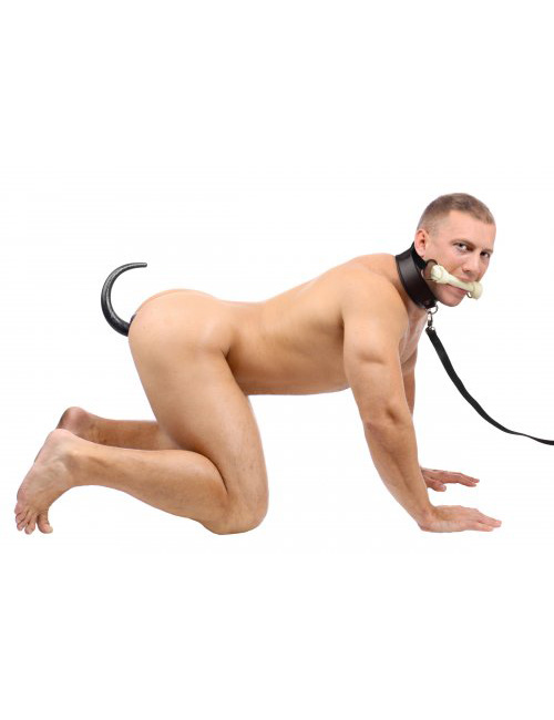Intro+to+Puppy+Play+3+Piece+Starter+Kit