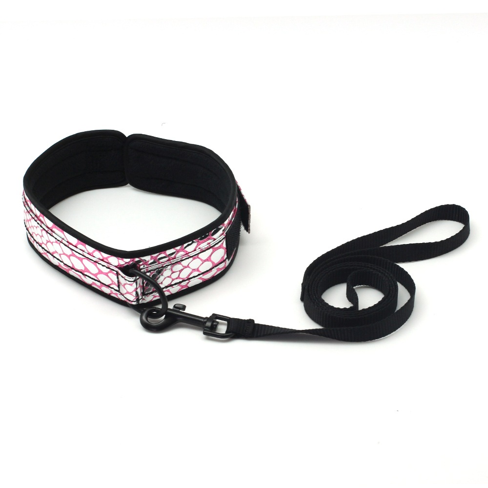 Collar+And+Leash+-+Faux+Leather