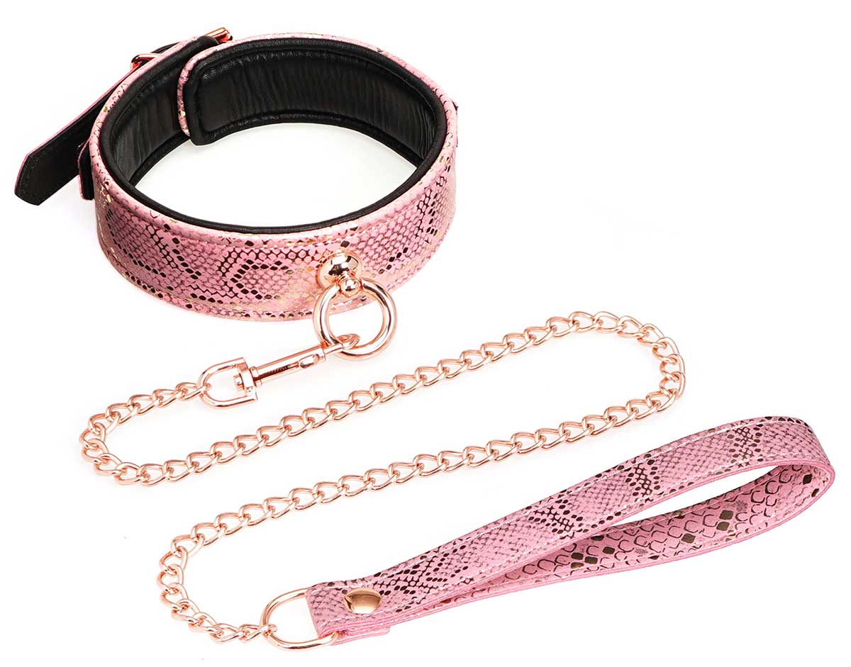 Snake+Print+Collar+And+Leash