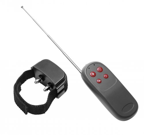 Cock+Shock+Remote+CBT+Electric+Cock+Ring
