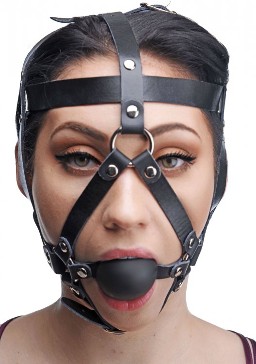 Leather+Head+Harness+with+Ball+Gag