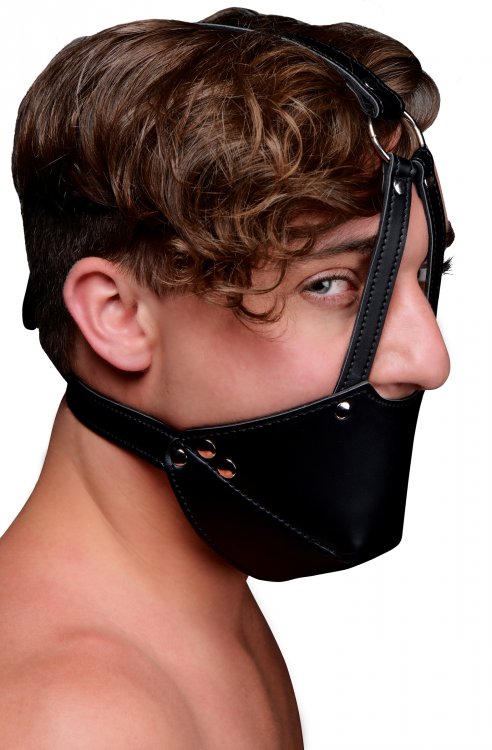 Mouth+Harness+with+Ball+Gag