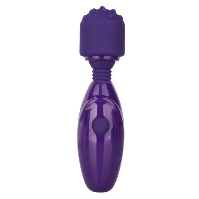 Tiny Teasers Nubby USB Rechargeable Mini Vibe Silicone Textured Head Waterproof Purple