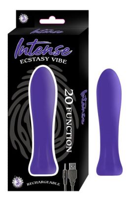 Intense Ecstasy Vibe 20 Function USB Rechargeable Silicone