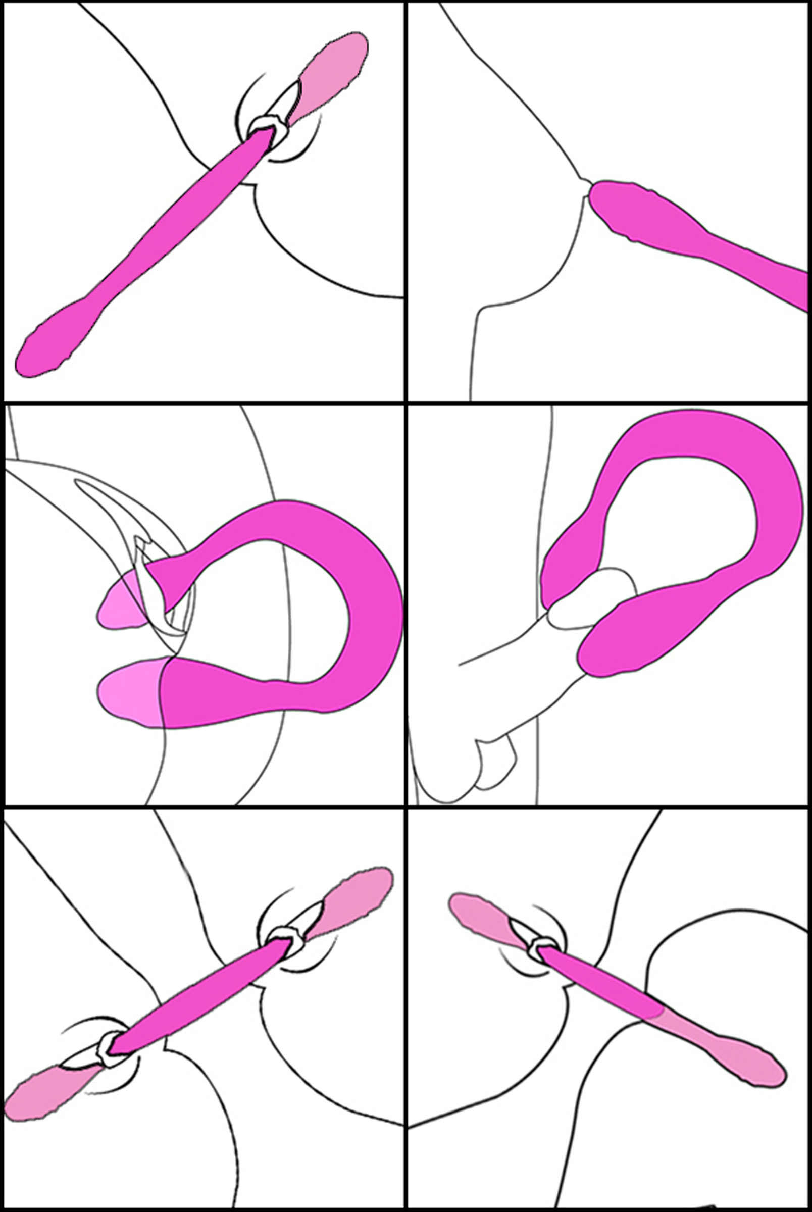 Double+Thump+7x+Rechargeable+Silicone+Double+Dildo