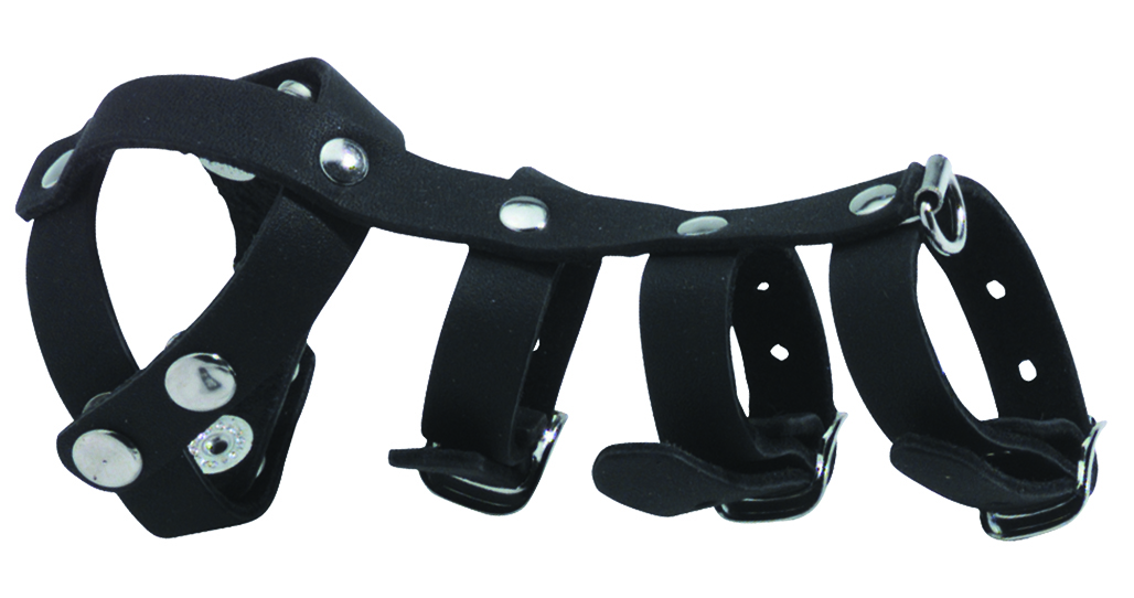 Stallion harness dildo - Xxx porno tube dildo Stallion harness