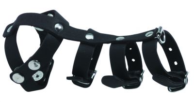 Three Ring Harness With Divider