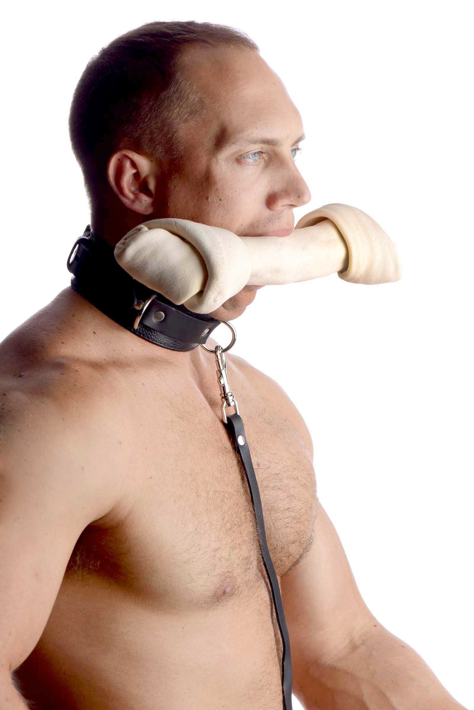 Sick+Puppy+Leash+and+Collar+Kit