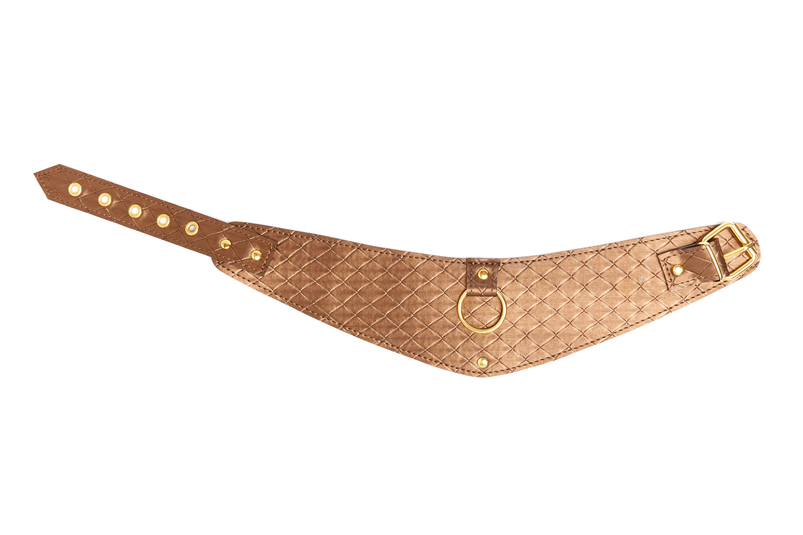 Look+At+Me+Bronze+Posture+Collar