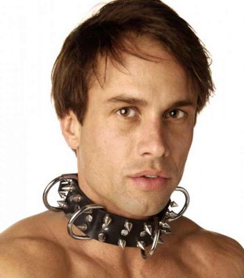 Strict Leather Locking Spiked Dog Collar