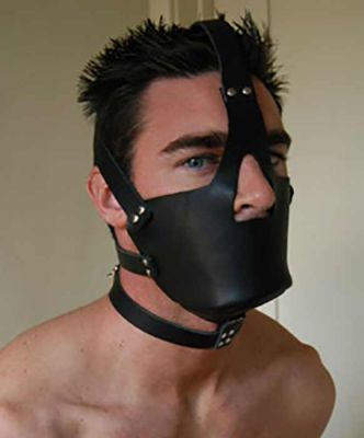 Leather Head Harness with Muzzle