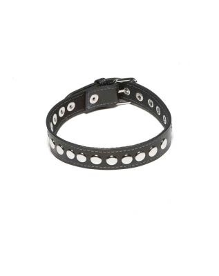 Spartacus Single Strap Round Stud Collar