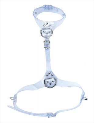 Clear CTRL Bust Harness