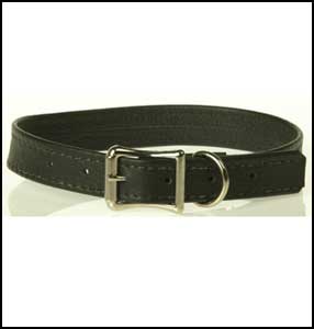 Understated+Collar
