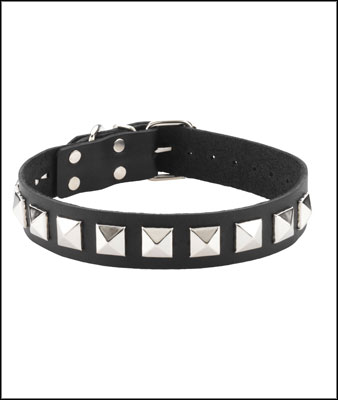 The Pyramid Single Strap Collar