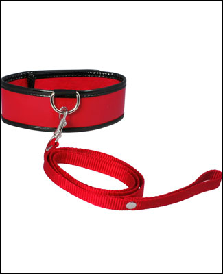 Sex and Mischief Leash and Collar