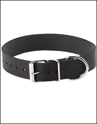 1+inch+Plain+Collar+With+Buckle+and+D-Ring