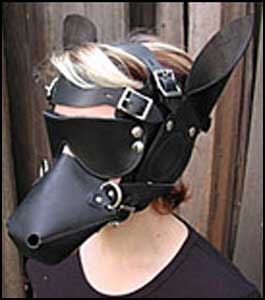 Pony Head Bridle Set