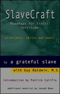 SlaveCraft (Guy Baldwin)