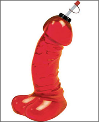 Dicky Chug Sports Bottle Red 16 Ounce