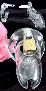 CB-3000 Male Chastity Device